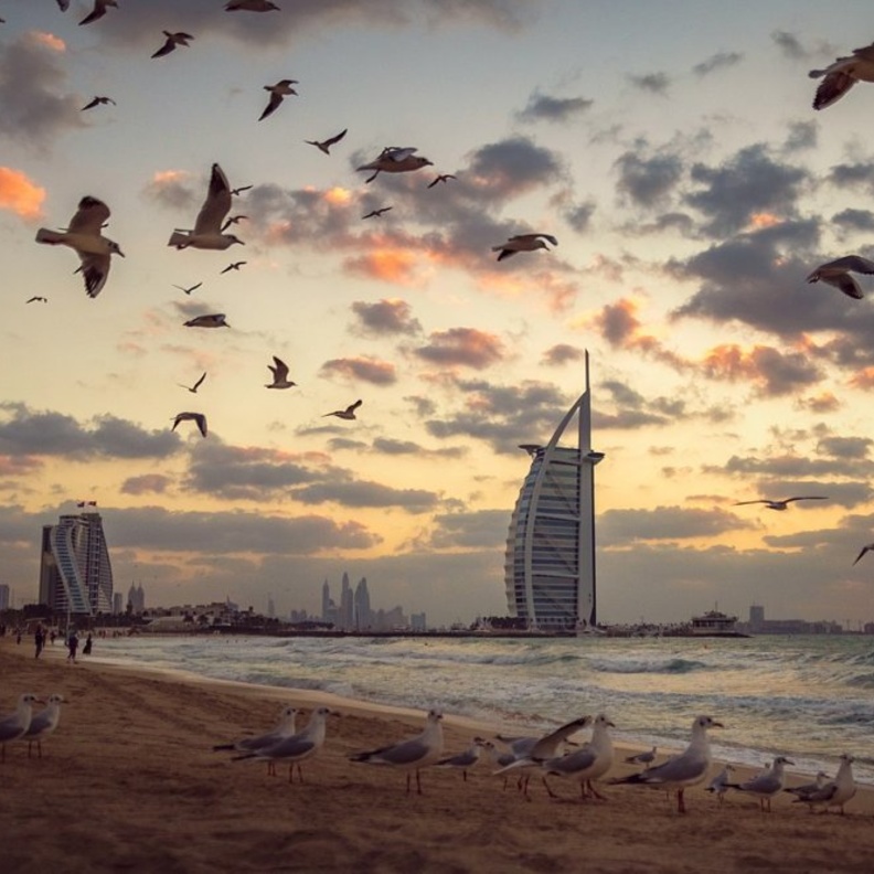 أجواء ساحرة في شاطئ الغروب دبي بواسطة Iarjunphotography