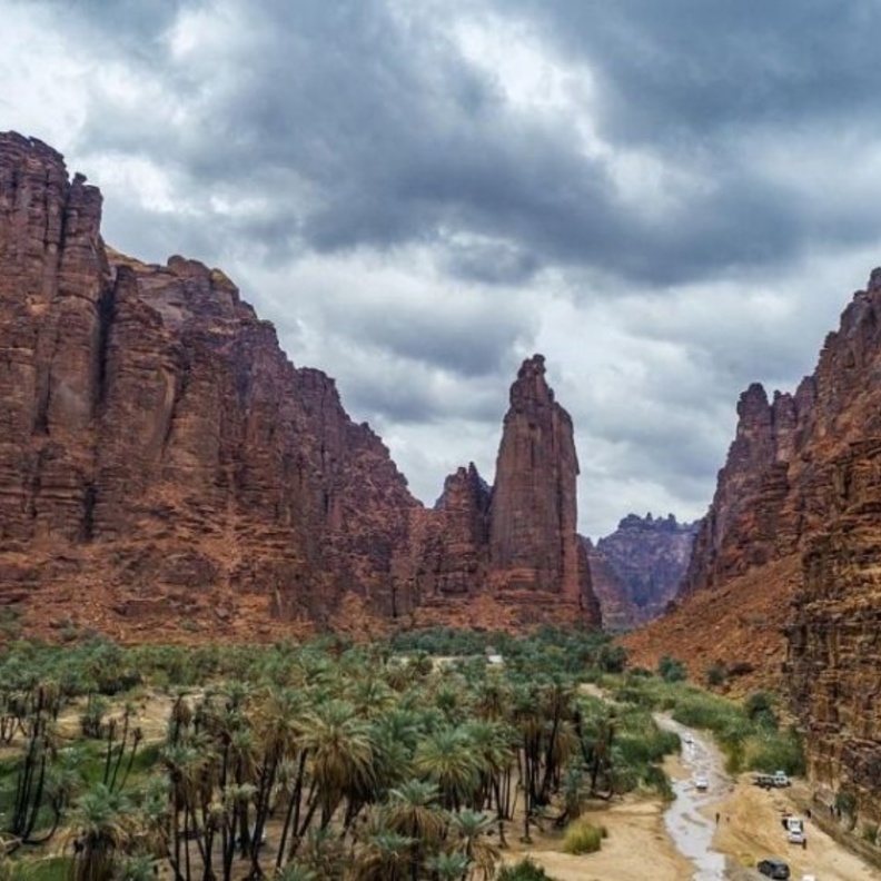 طبيعة ساحرة في الديسة - المصدر وكالة الأنباء السعودية