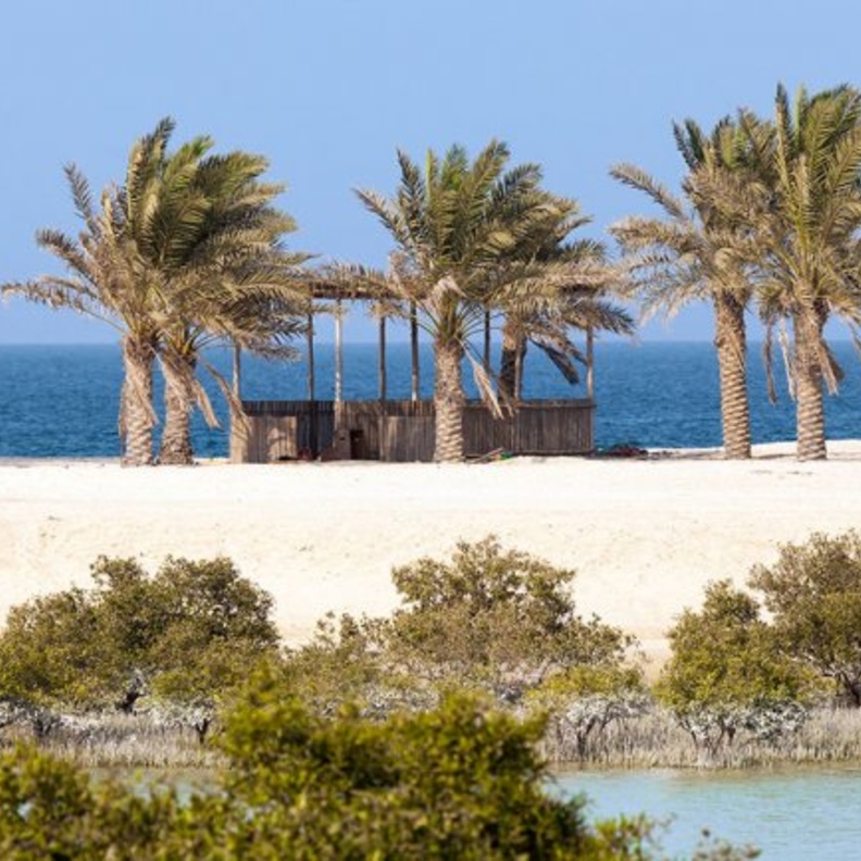 أصل تسمية صير بونعير