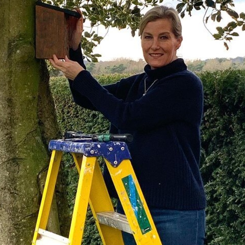 كونتيسة وسكس تشارك في جلسة فنية رقمية للمعهد الوطني الملكي للمكفوفين