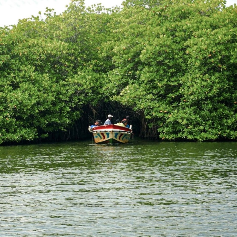  السياحة في سريلانكا نهر مادو جانجا Madu Ganga River