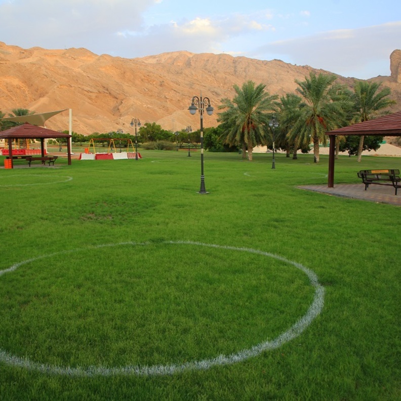 من واحة العين