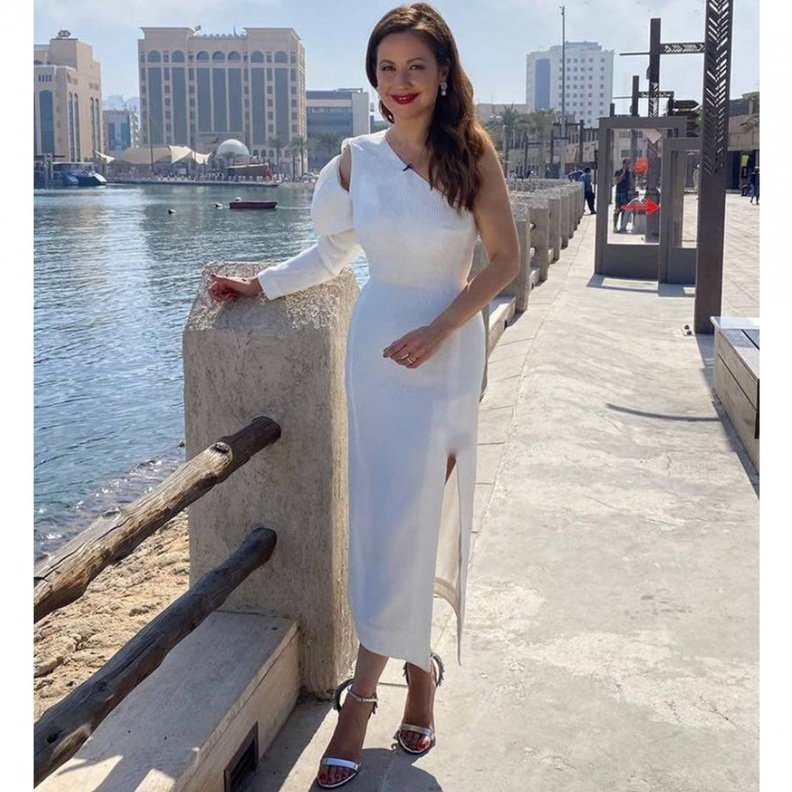 اطلالات ريا ابي راشد الاخيرة أنيقة بفساتين السهرة