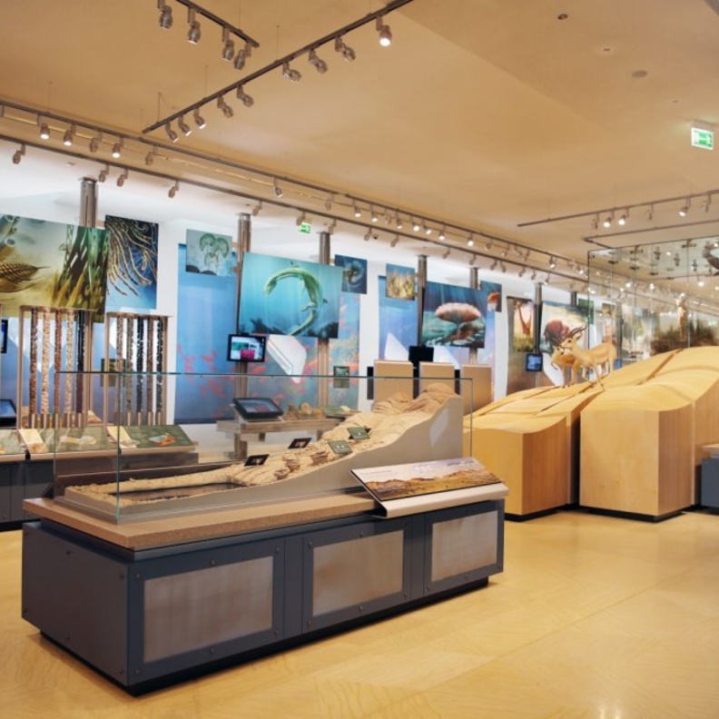 مركز الشيخ زايد لعلوم الصحراء وجهة سياحية وتعليمية مميزة - المصدر وكالة أنباء الإمارات