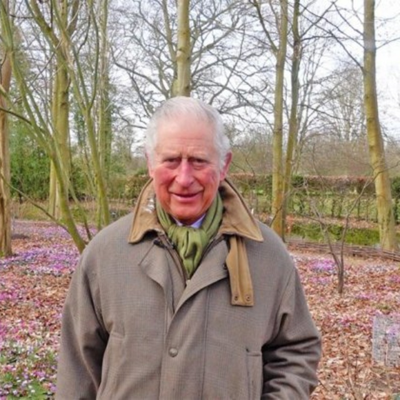 ما هي الأنشطة البيئية التي يجب على الأطفال إنجازها في مبادرة الأمير تشارلز؟