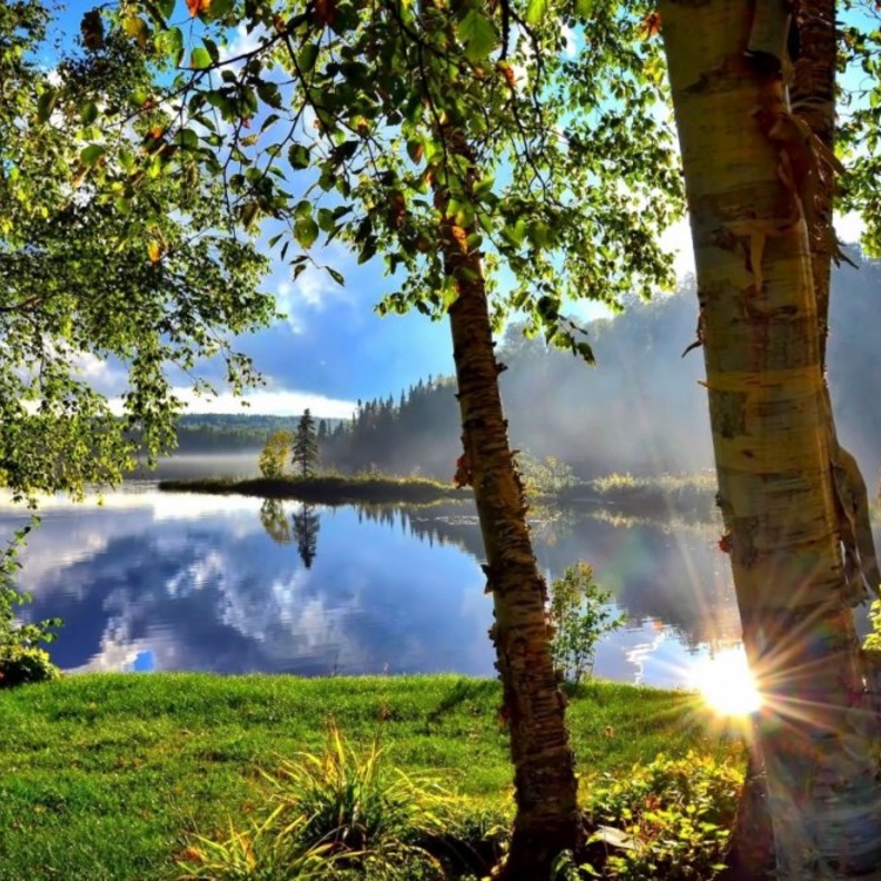 روعة مشاهد الطبيعة في كندا بواسطة pxhere