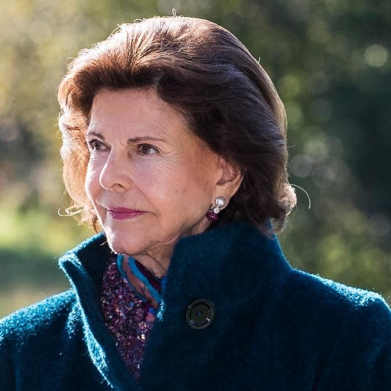 ملكة السويد سقطت في منزلها بقلعة دروتنينغهولم