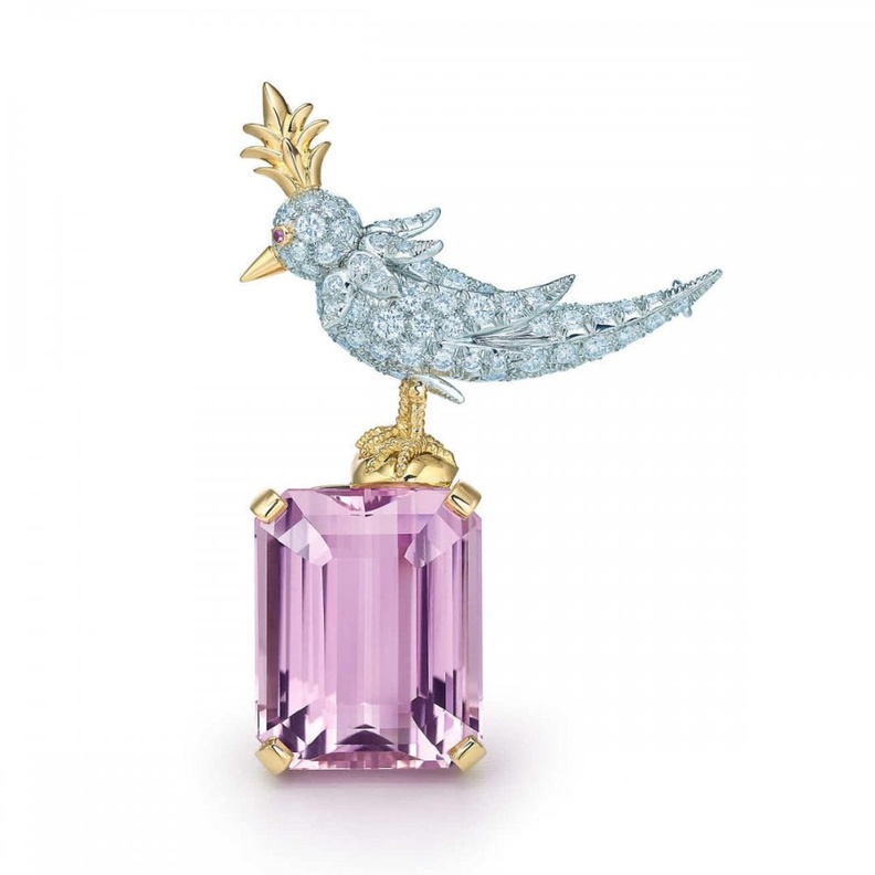  بروش Bird on a Rock من تيفاني اند كو Tiffany & Co