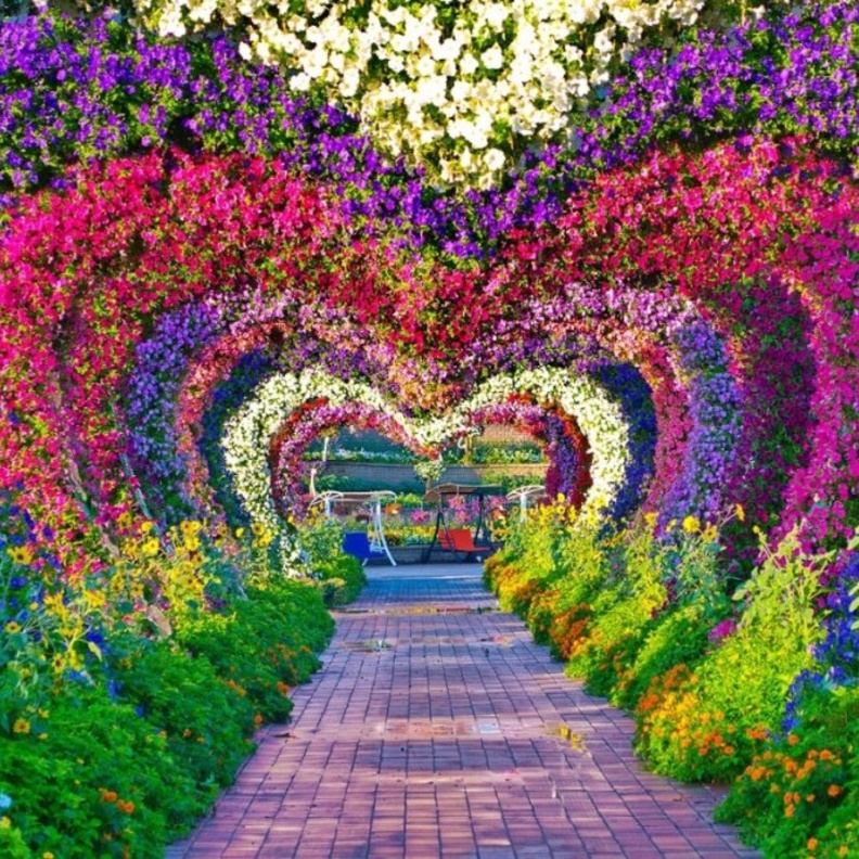  من دبي ميراكل جاردن