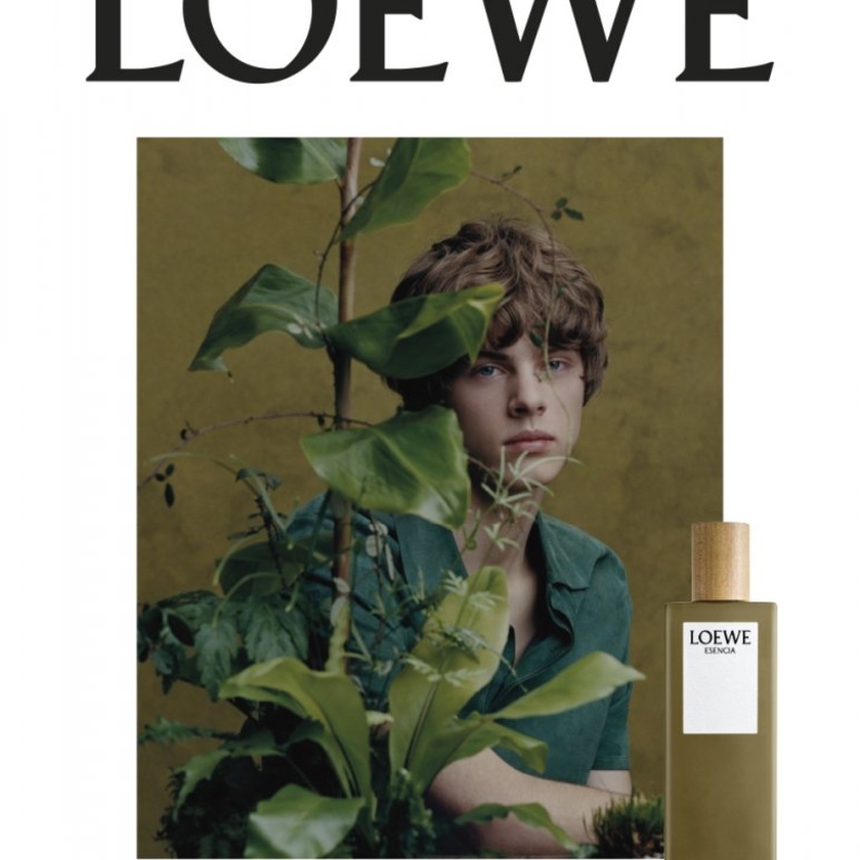 لويفي تطلق تشكيلة بوتانيكال رينبو بألوان قوس قزح                 