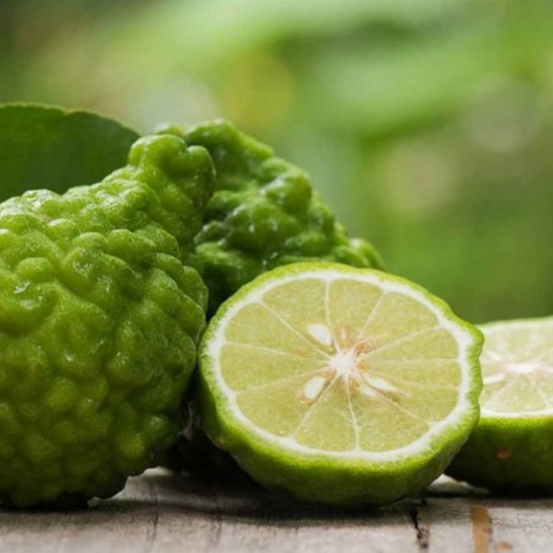 فوائد البرغموت الصحية