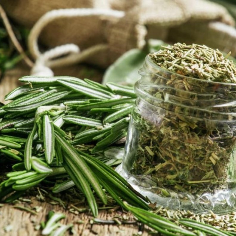  فوائد إكليل الجبل للذاكرة والصحة النفسية