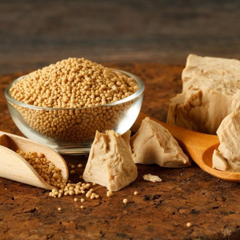 فوائد الخميرة الغذائية وأضرارها