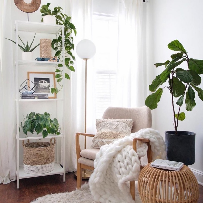 أحواض النباتات تغني ديكورات زوايا المنزل