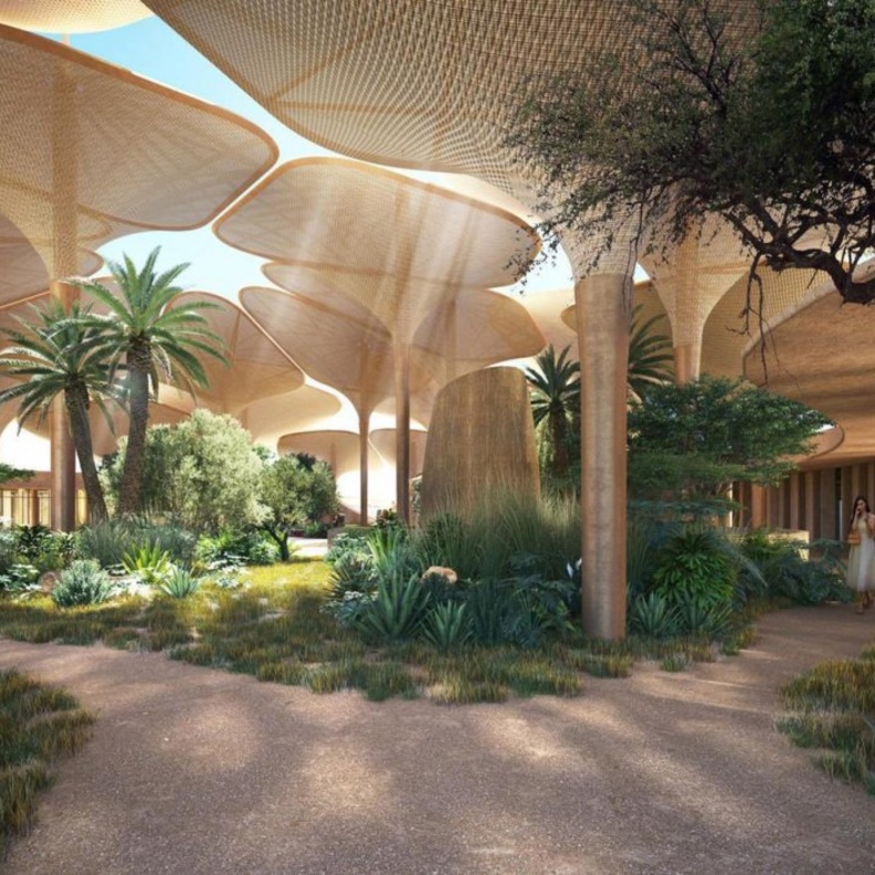 سحر خاص للطبيعة الصحراوية - المصدر مشاريع السعودية 