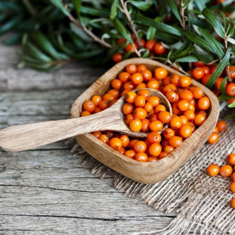 فوائد فاكهة النبق الصحية