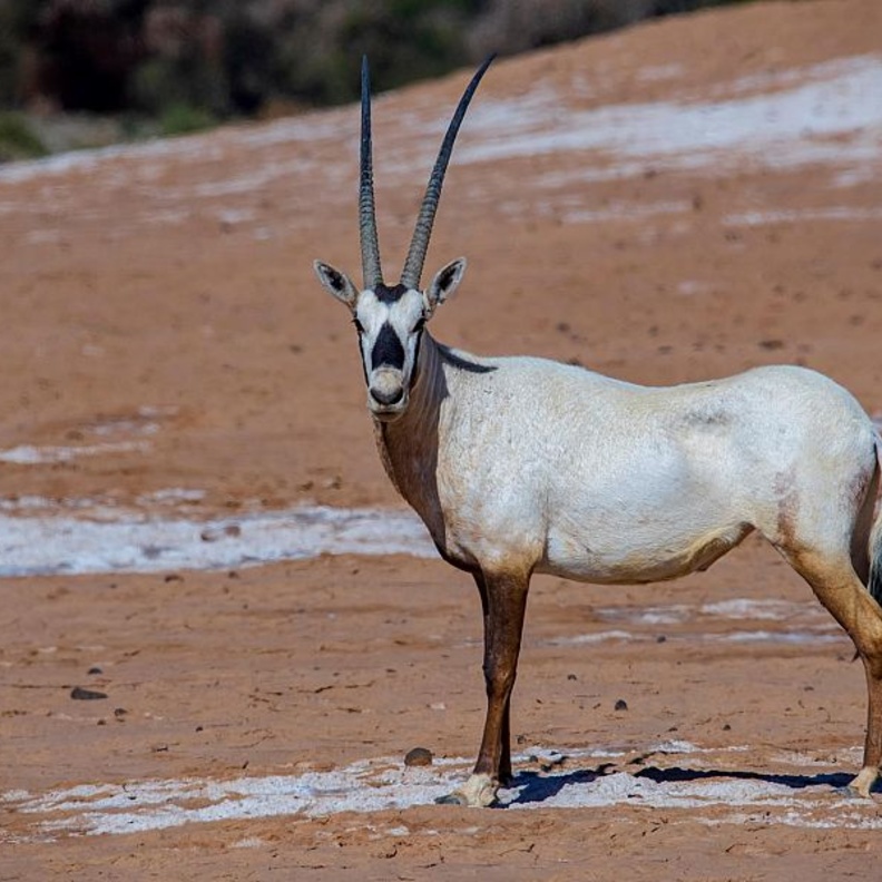 سحر خاص لواحدة من أجمل بقاع بالمملكة