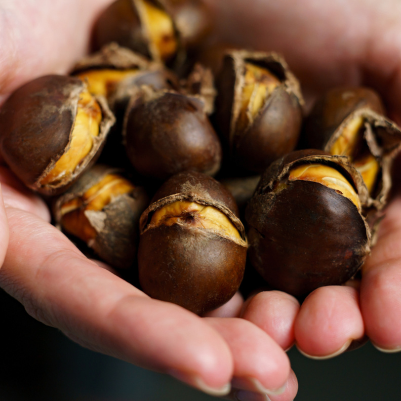 ما هي فوائد الكستناء للحامل