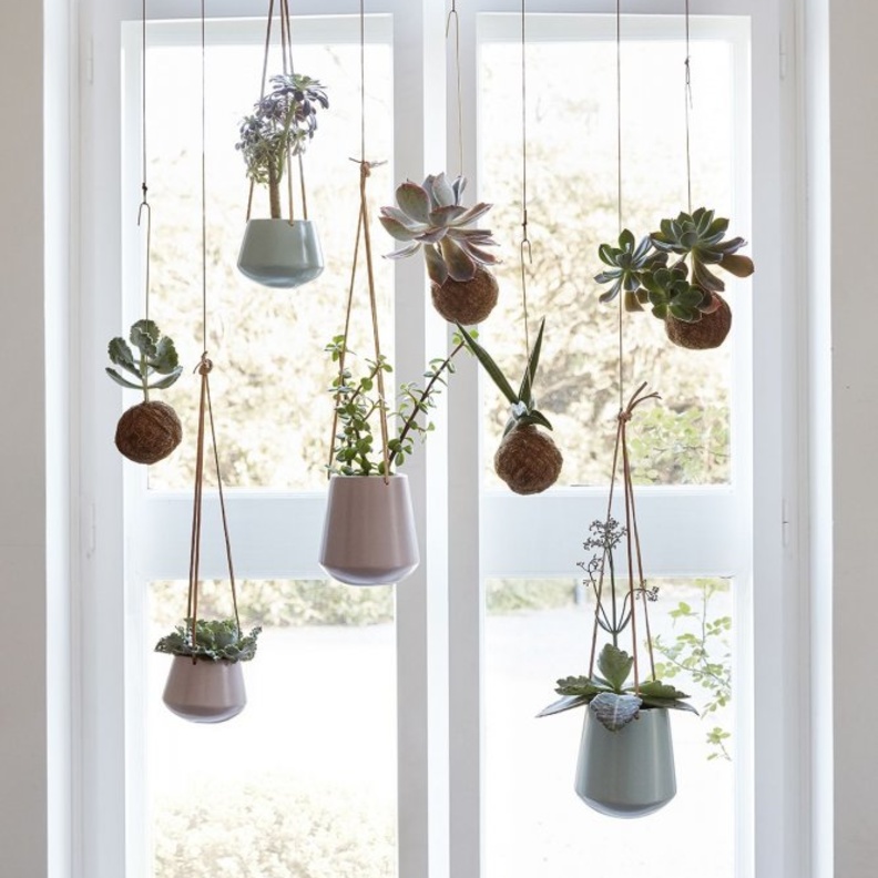 أحواض من النباتات لديكور منزلك