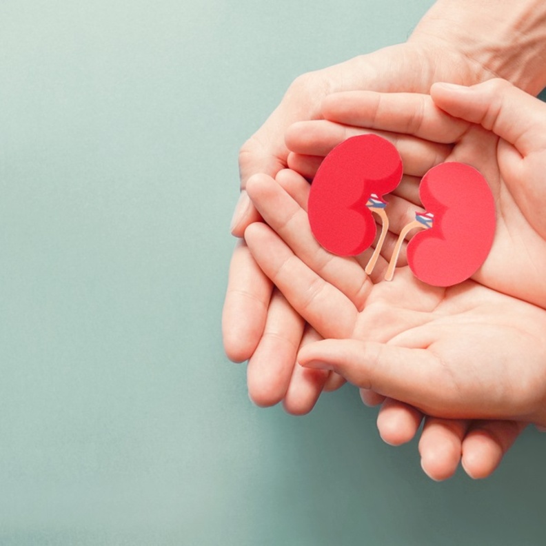 أهمية الوقاية من أمراض الكلى المزمنة في اليوم العالمي للكلى