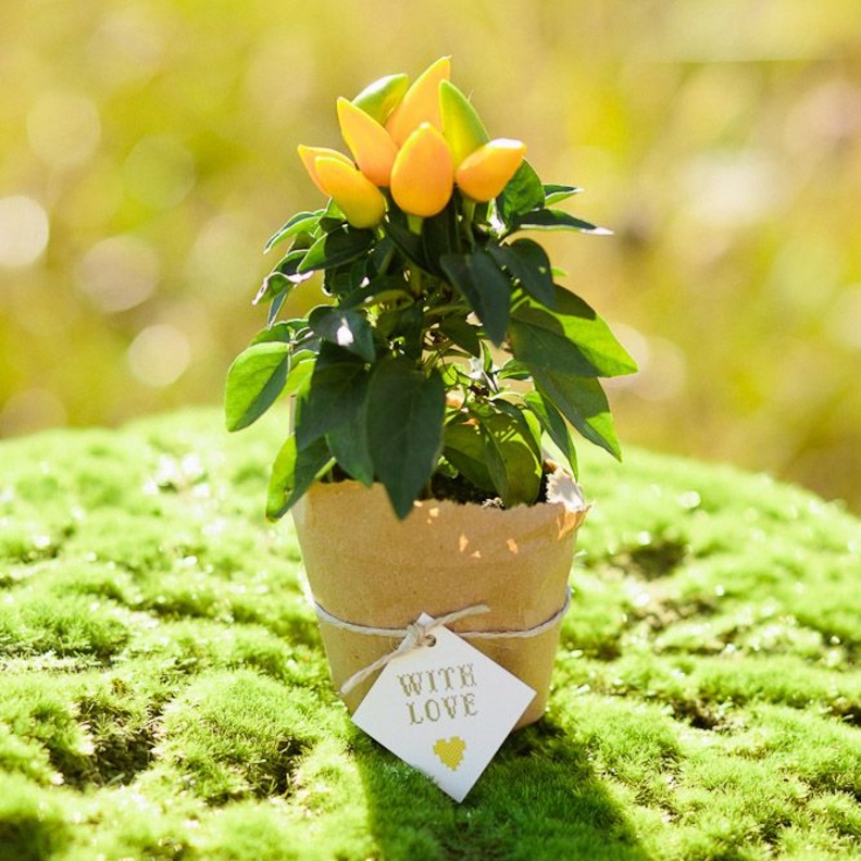  هدية مميزة من وحي خطوبة الربيع