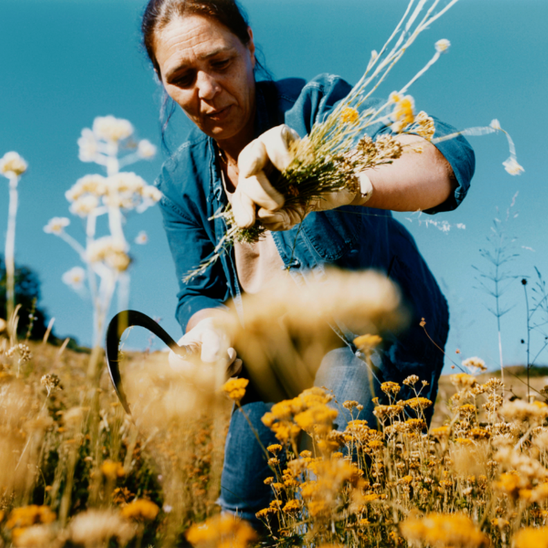إحتفلوا بعيد الأمّ مع لوكسيتان بهدايا مميّزة تقدّمها لكم الطّبيعة