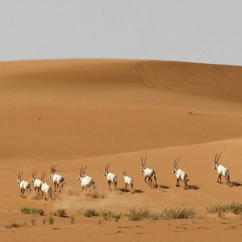 سحر خاص لواحد من أجمل المناطق بالمملكة - وكالة الأنباء السعودية