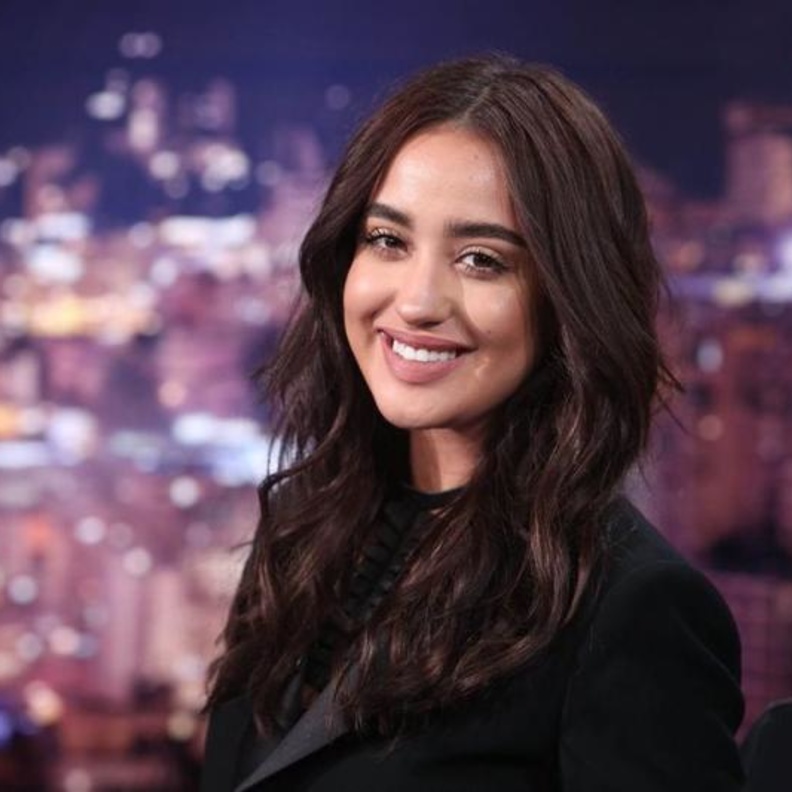 نينا عبد الملك 