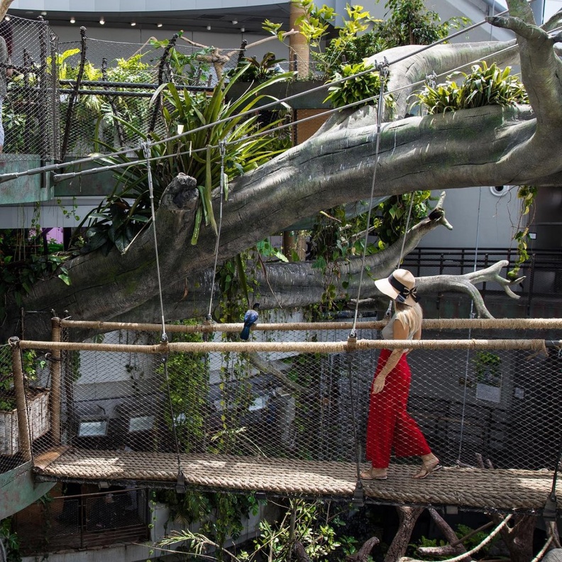  فرص سياحية مميزة في ذا غريت بلانيت في دبي