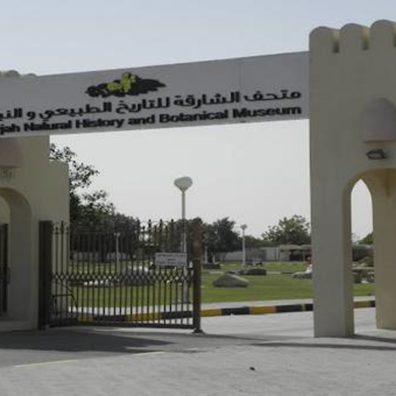 متحف التاريخ الطبيعي بالشارقة