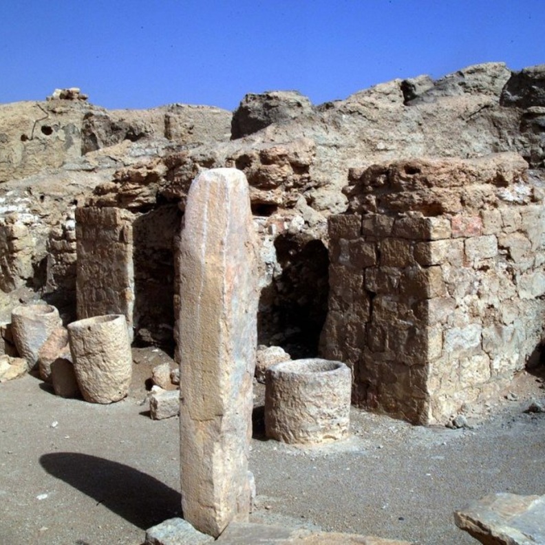 عثر على العديد من المكتشفات في قرية الفاو، بما في ذلك الكتان وصوف الأغنام والعملات