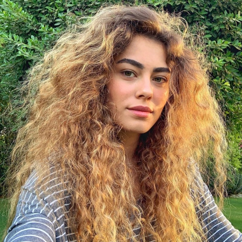 نجمة الموكب الذهبي