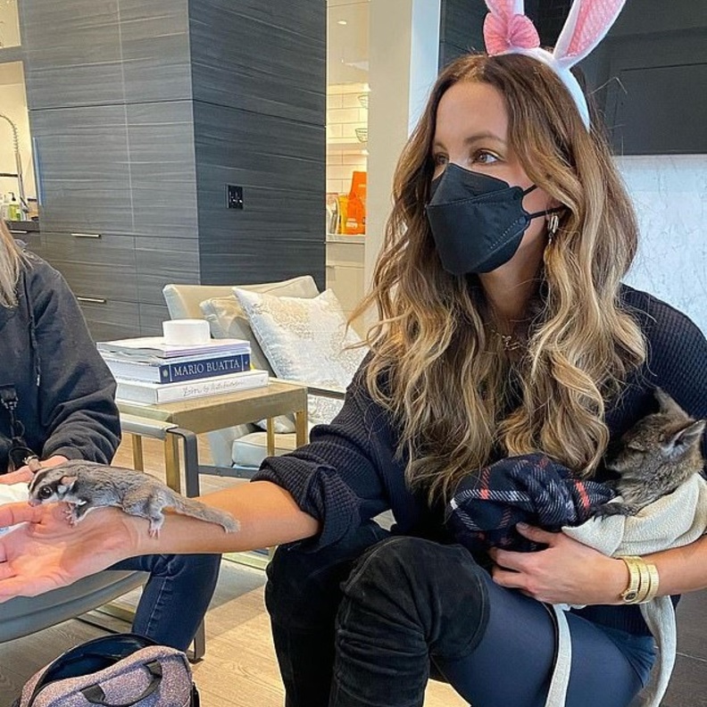 كيت بيكنسيل