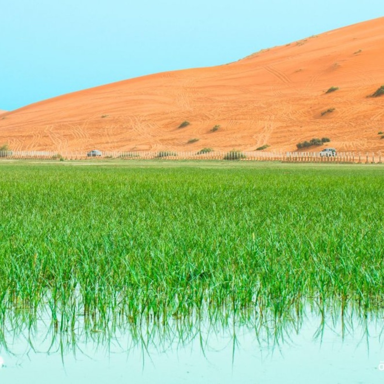 صورة رأسية لمنتزه روضة الخرارة - المصدر روح السعودية 