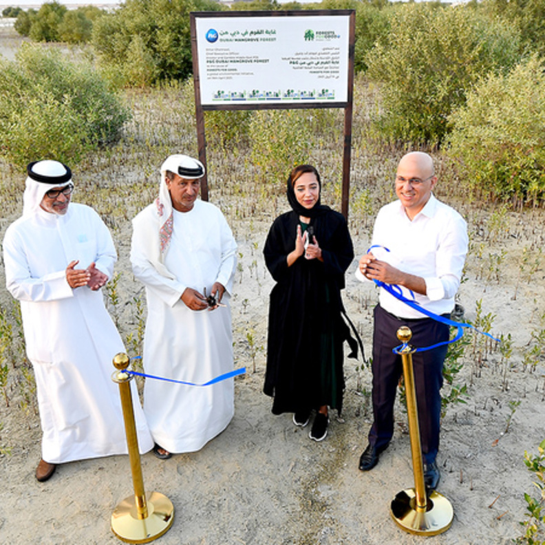  من افتتاح غابة القرم