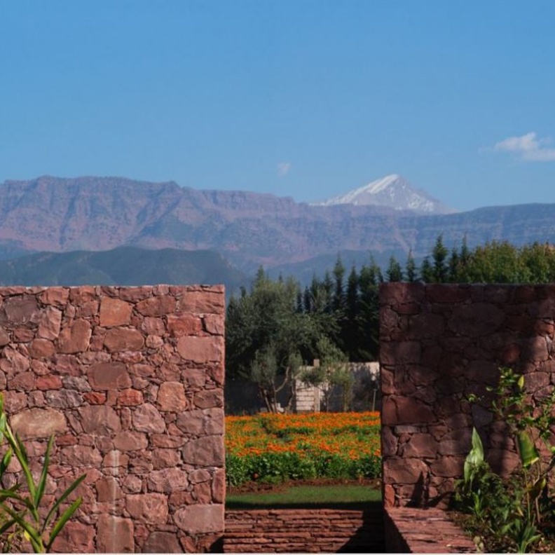 في يوم الأرض.. YSL Beauty تُعيد تأكيد التزامها بالاستدامة عبر تطوير حدائق أوريكا المجتمعيّة