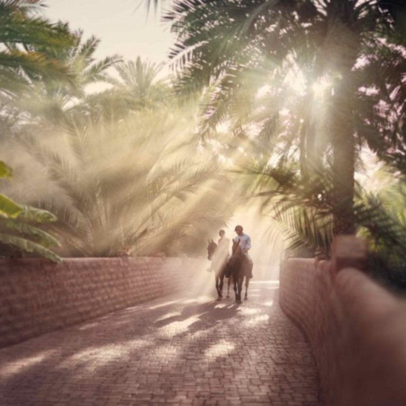  جزيرة بوطينة