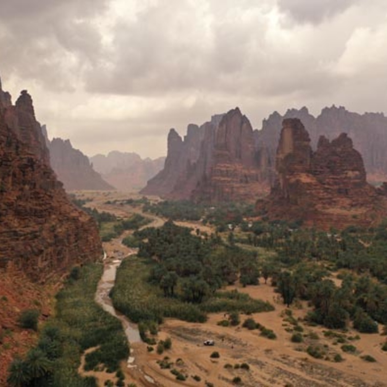 بين الشعاب المرجانية والمياه الفيروزية تنمو الأشجار الساحرة على اطراف الجزر