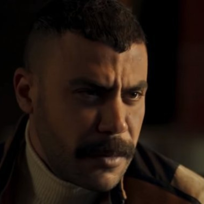 مسلسل النمر