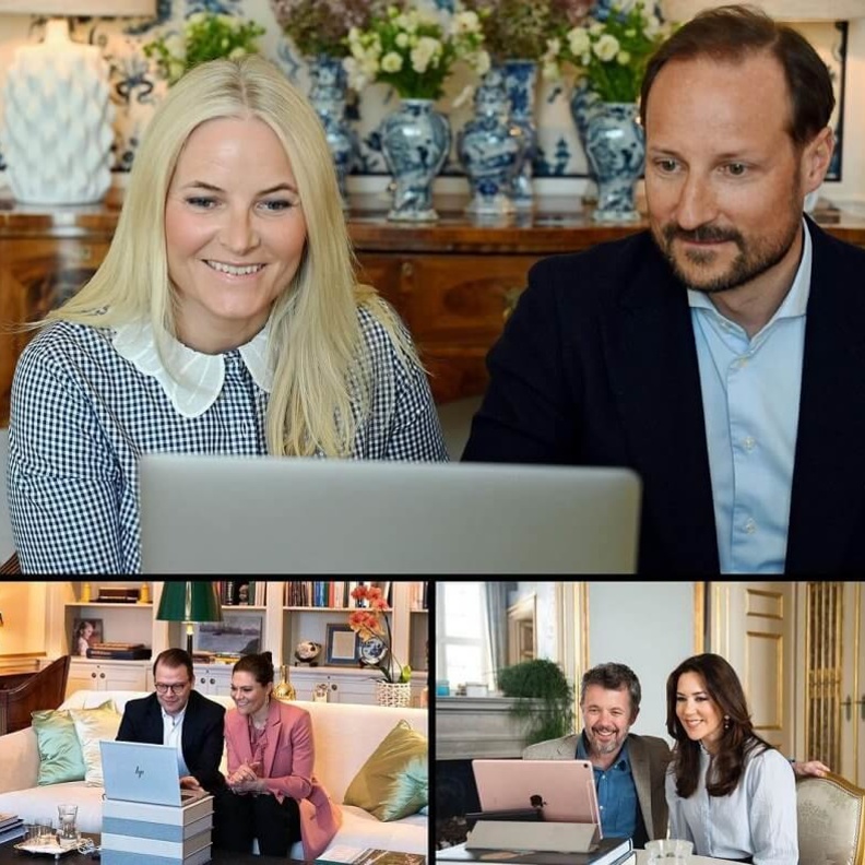 ورثة عروش الدول الاسكندنافية يتلقون في اجتماع رقمي