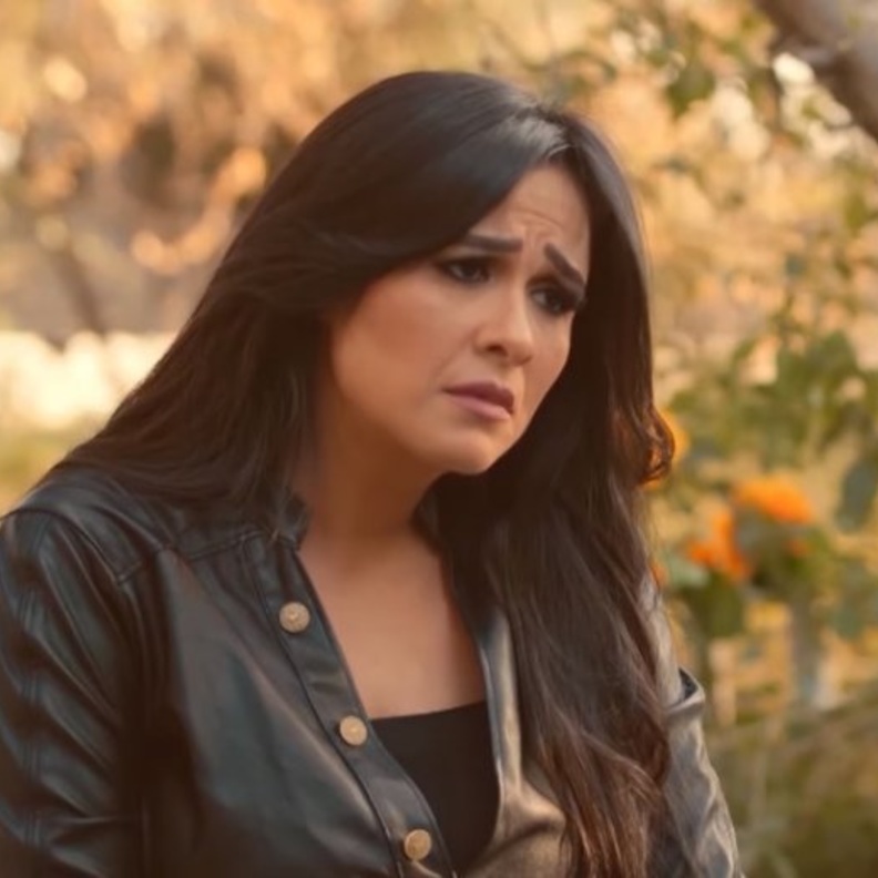 مسلسل اللي مالوش كبير