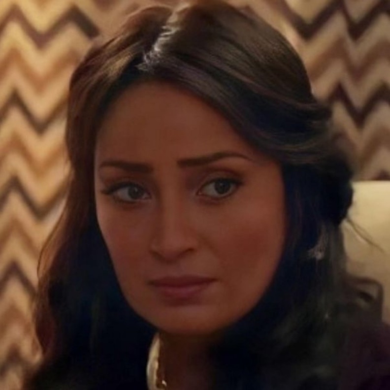 نرمين الفقي 