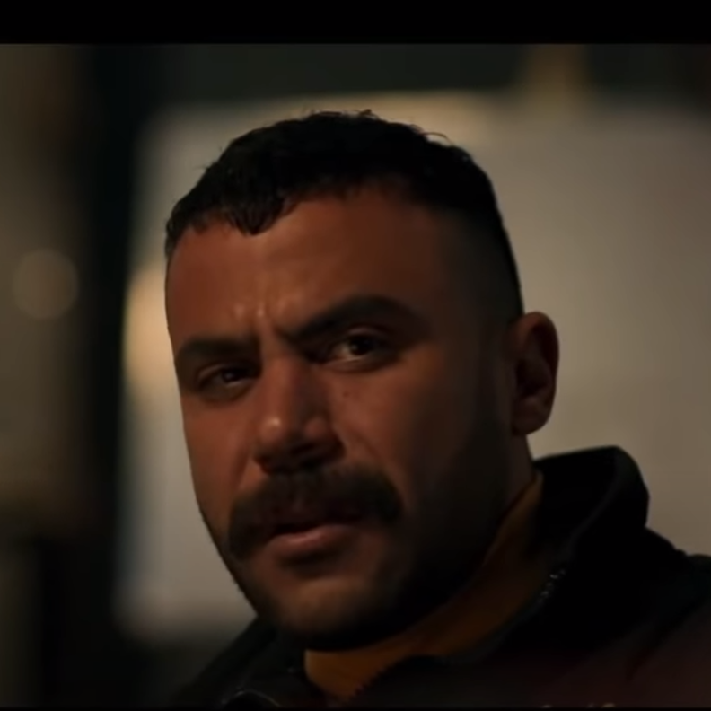 مسلسل النمر