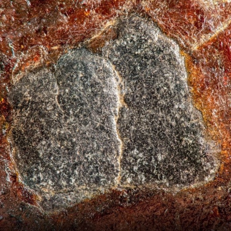 شؤون الحرمين توثق الحجر الأسود بتقنية Focus Stack Panorama