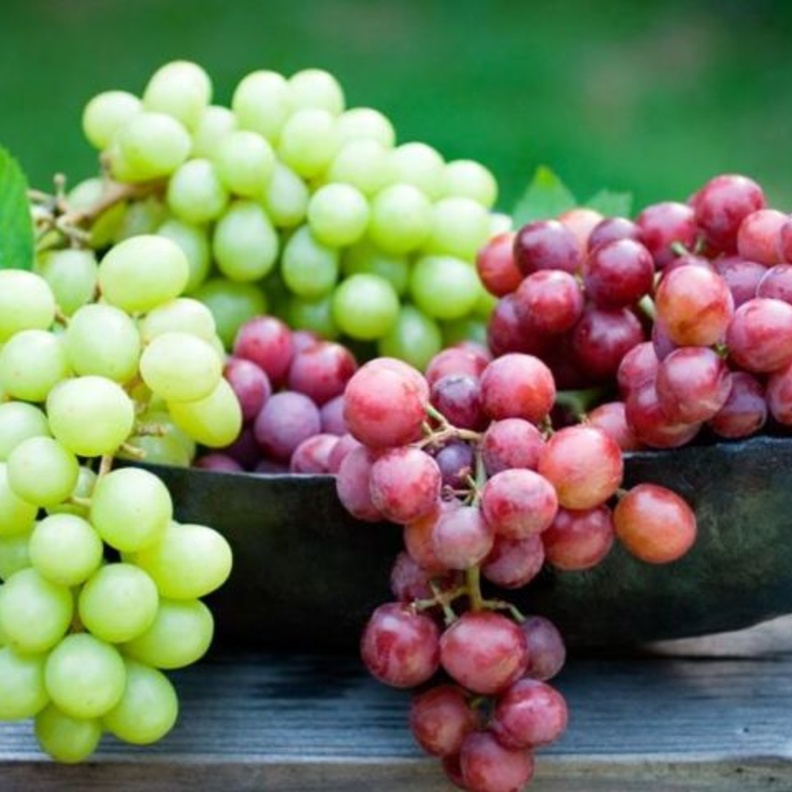  كيف يحمي العنب الجلد من أضرار الشمس