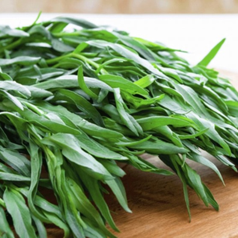 ماهو الطرخون وماهي فوائده واضراره ومحاذير استخدامه