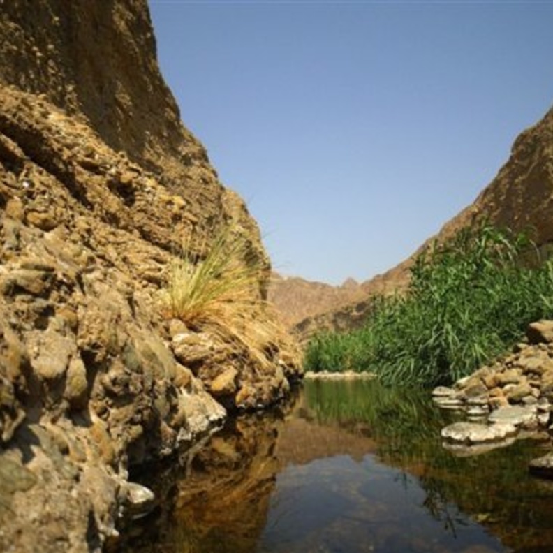 حديقة عين مضب الكبريتية وجهة مميزة للاستشفاء والاسترخاء