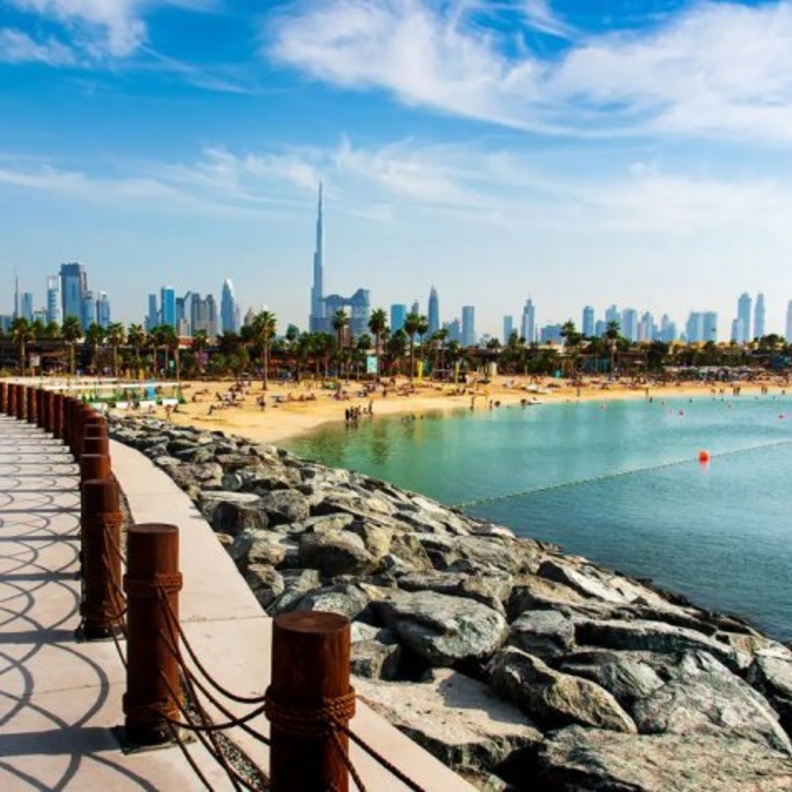  أجواء مبهجة في حديقة دبي للفراشات