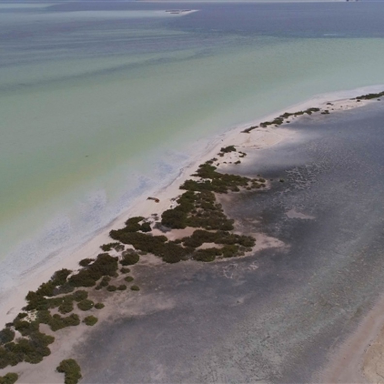 محمية بو السياييف البحرية سحر خاص وطبيعة خلابة