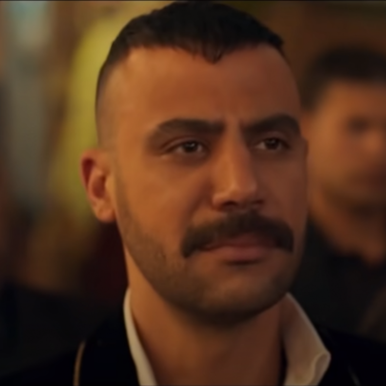 مسلسل النمر